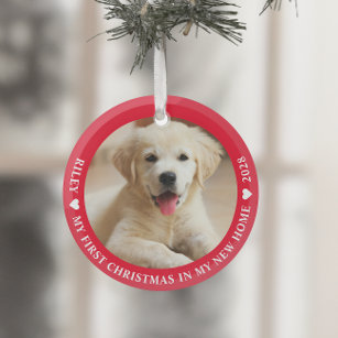 First Christmas Puppy Dog Photo Glass Ornament