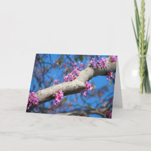 First Day of Spring Card