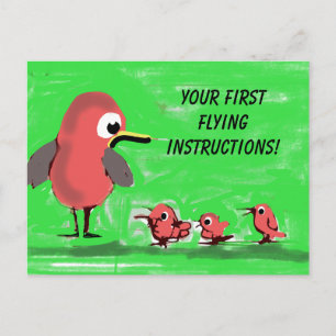 First Flying Instructions Postcard