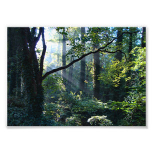 First Light Photo Print