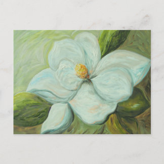 First Magnolia Postcard