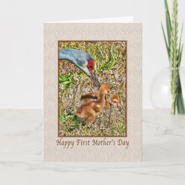 First Mother's Day Card with Birds (Front)