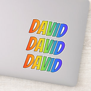 First Name "DAVID" w/ Fun Rainbow Colouring