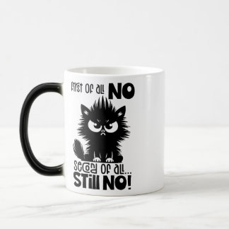 First Of All, No Funny Cat Lover Gift Magic Mug