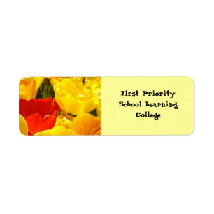 First Priority School Learning labels