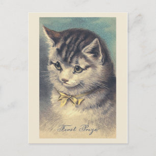 "First Prize" Vintage Cat Portrait Postcard