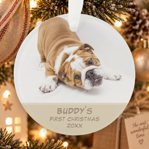 First Puppy Christmas Personalized Pet Photo Ornament