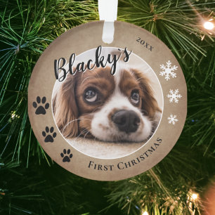 First Puppy Christmas Rustic Chien Nom Photo