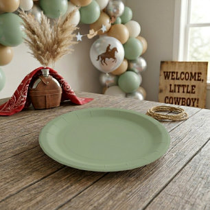 First Rodeo and Baby Boy Shower Paper Plate