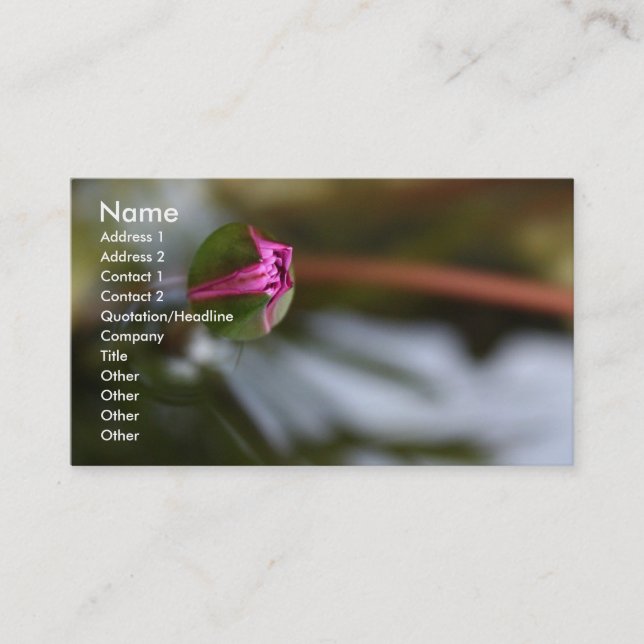 First Sight/Budding Lotus Business Card (Front)