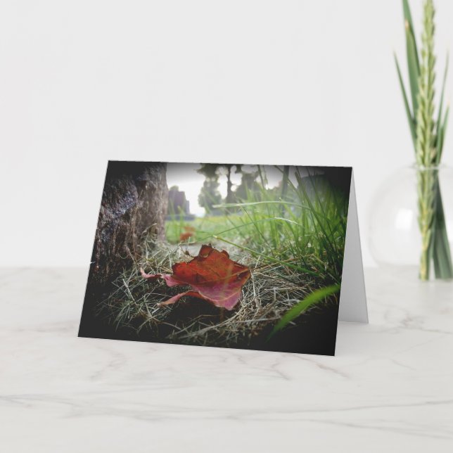 “First Sign of Fall” Sympathy Card (Front)