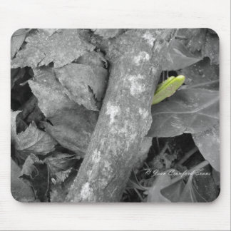 First sign of Spring Mouse Pad