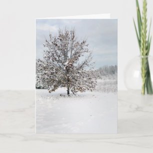 First Snow Blank Note Card