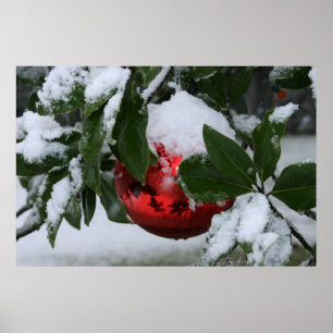 first snow poster