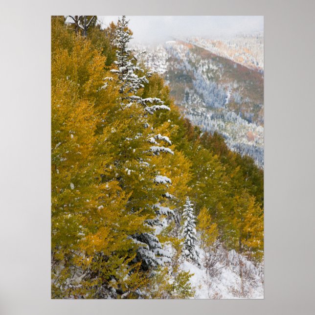 First Snow Poster (Front)