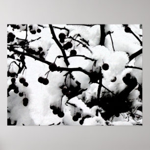 First Snow Poster