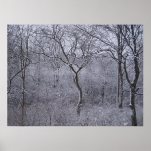 First Snowfall in Upstate New York Poster