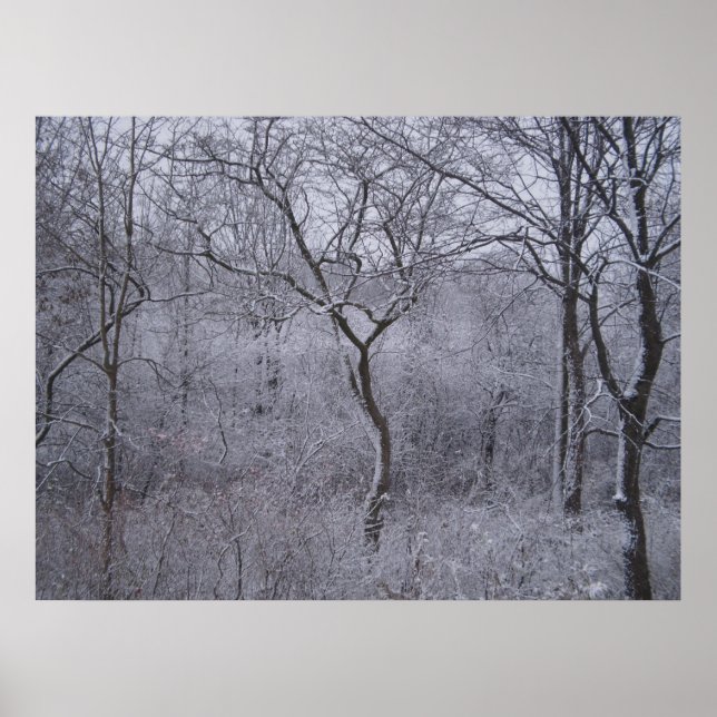 First Snowfall in Upstate New York Poster (Front)