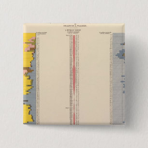 Fiscal Chart, Statistical US Lithograph 2 Inch Square Button