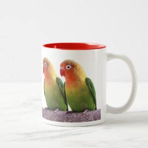 Fischer's Lovebird Two-Tone Coffee Mug