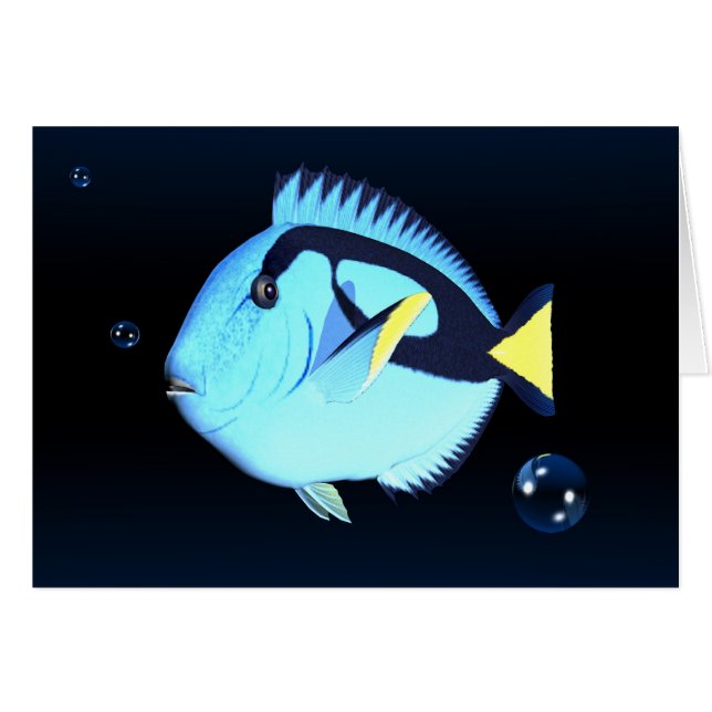 fish1 (Devant horizontal)