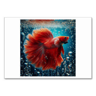 Fish (鱼 / yú) - Chinese Flash Cards