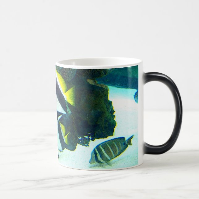 Fish 14 Morphing Mug (Right)