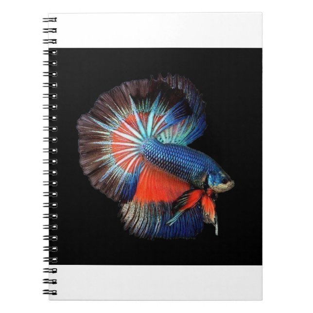fish-5115102_1280 notebook (Front)