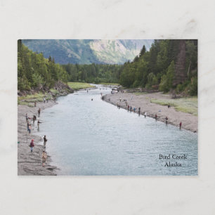 Fish Alaska! Postcard