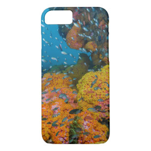 Fish Among Coral Reef Case-Mate iPhone Case