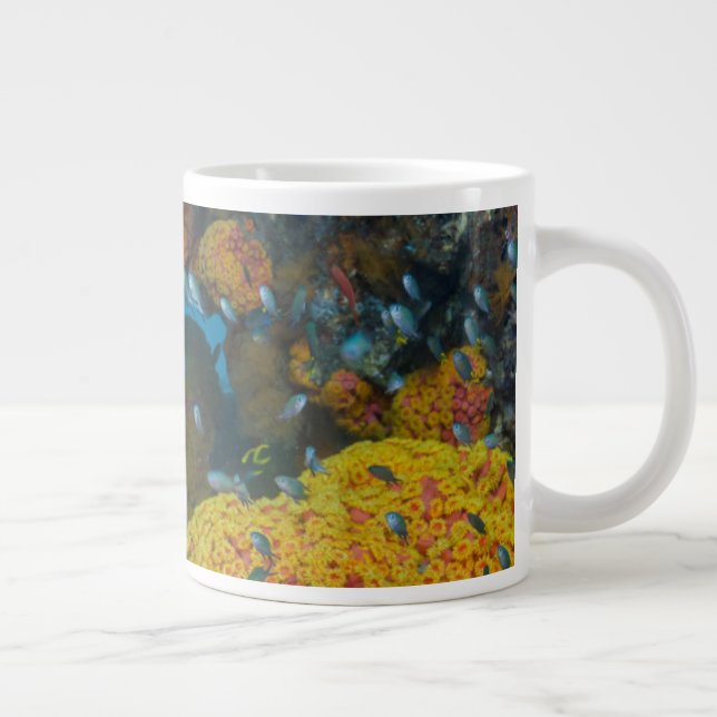 Fish Among Coral Reef Large Coffee Mug (Right)