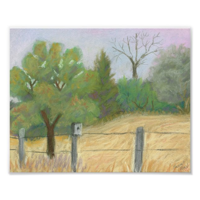 Fish and Wildlife Photo Print (Front)