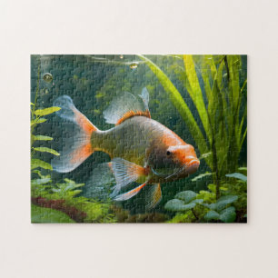 Fish Art 2 Easy brain Art Puzzle Photo Puzzles Int
