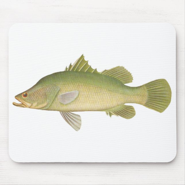 Fish - Barramundi - Lates calcarifer Mouse Pad (Front)