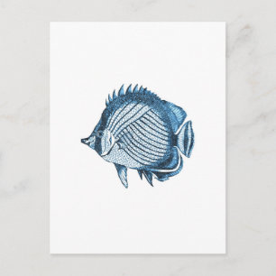 Fish beach nautical ocean coastal sea blue postcard