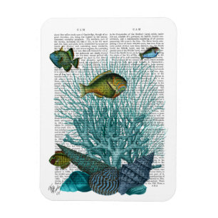 Fish, Blue Shells and Corals Magnet