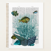Fish, Blue Shells and Corals