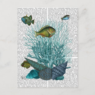 Fish Blue Shells and Corals Postcard