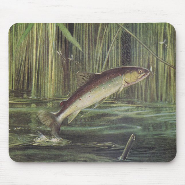 Fish - Brown Trout - Salmo trutta Mouse Pad (Front)