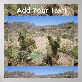 Fish Creek Hill Vista Prickly Cactus Poster