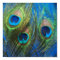 Fish Eye Peacock Still Life
