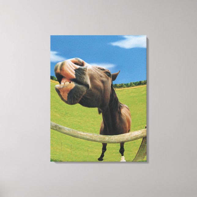 Fish-eye View of Horse Canvas Print (Front)