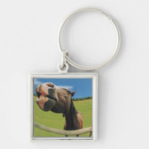 Fish-eye View of Horse Keychain