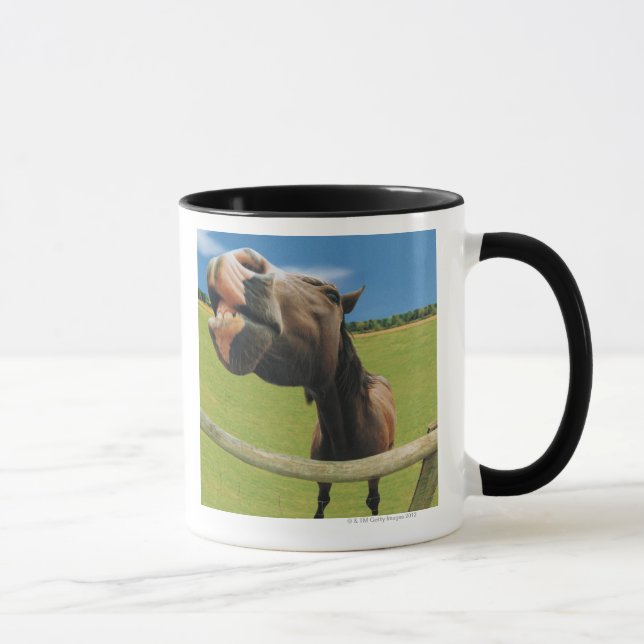 Fish-eye View of Horse Mug (Right)