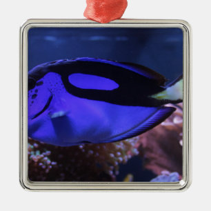 fish fishing sea custom personalize Anniversaries Metal Ornament