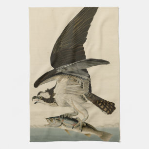 Fish Hawk, Osprey, from Audubon's Birds of America Kitchen Towel
