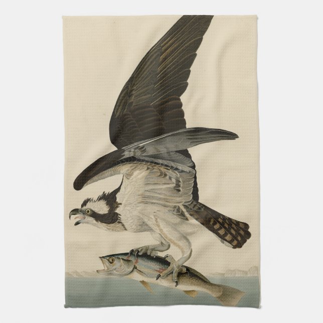 Fish Hawk, Osprey, from Audubon's Birds of America Kitchen Towel (Vertical)