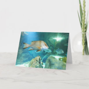 Fish Holiday Card