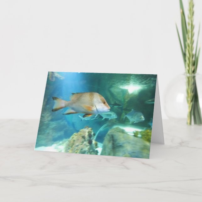 Fish Holiday Card (Front)