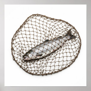 Fish in a Net Poster